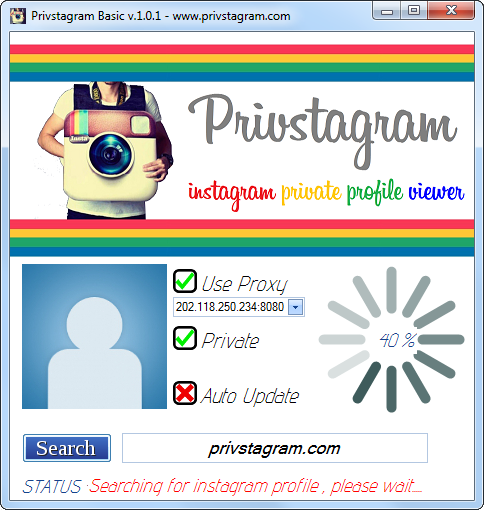 Private Instagram Viewer Tool